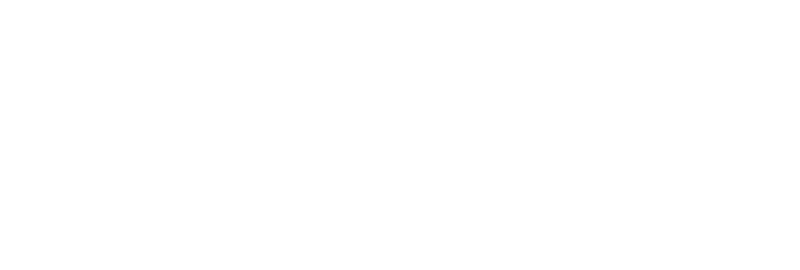 Voodoo, Agencia Digital