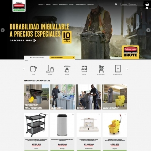 Diseño y desarrollo de páginas web_4