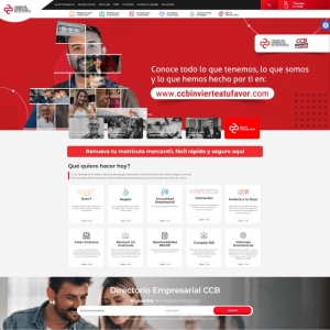 Diseño y desarrollo de páginas web_2